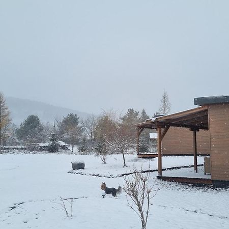 Wellness Resort Szecseny Jögödfürdő Exteriör bild
